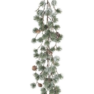 Mr. Plant huurteinen lehtikuusiköynnös, 170 cm