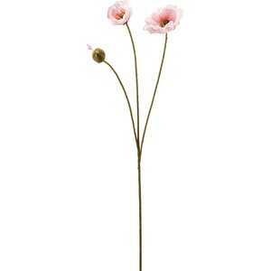 Mr. Plant vaaleanpunainen pitkä unikko kimppu, kaksi kukkaa ja nuppu