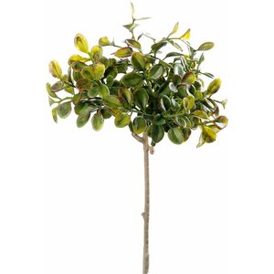 Mr. Plant puolukanvarpu