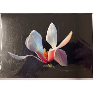 Sköna ting onnittelukortti magnolian kuvalla