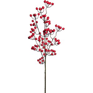 Mr. Plant Punainen marjaoksa
