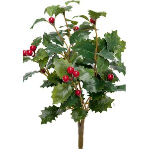 Mr. Plant Punainen orjanlaakeri marjaoksa