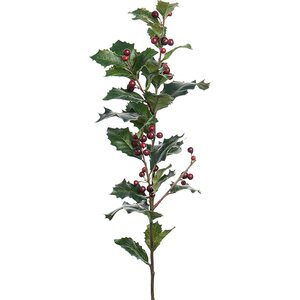 Mr. Plant Orjanlaakeri oksa