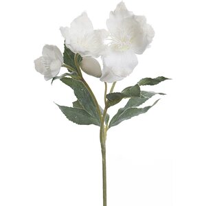 Mr. Plant Valkoinen huurteinen jouluruusu