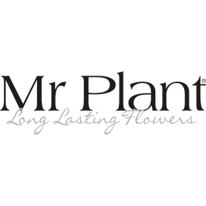 Mr. Plant